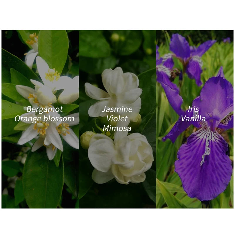 Fresh Natural Women' Perfume